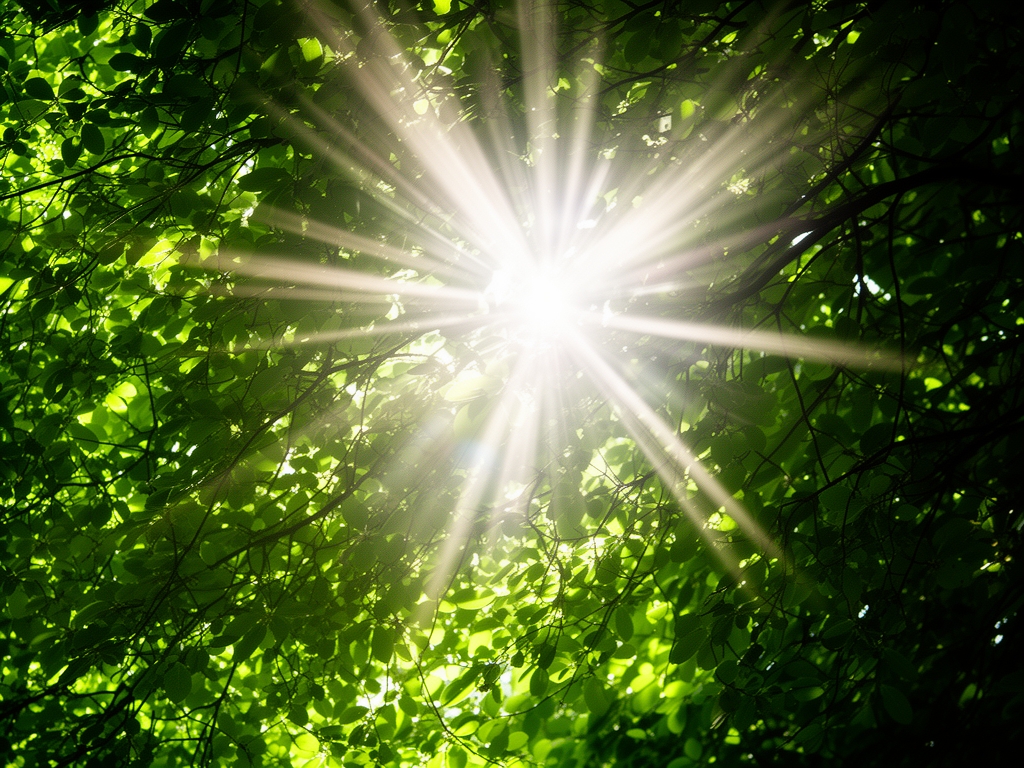 Rayons de soleil filtrant à travers un feuillage vert dense, créant un motif de lumière et d'ombre sur des feuilles translucides, symbolisant la relation entre lumière naturelle et protection des organismes vivants